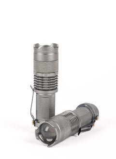 Buy 2pc Small LED flashlight with clip, silver in Saudi Arabia