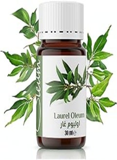 اشتري Oleum Laurel Oil 100% Pure- Steam Distilled from Bay Leaves - Rich in Antioxidants and Anti-Inflammatory Compounds - 30 ml في مصر