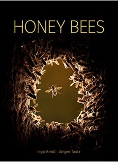 Buy Honey Bees in Saudi Arabia