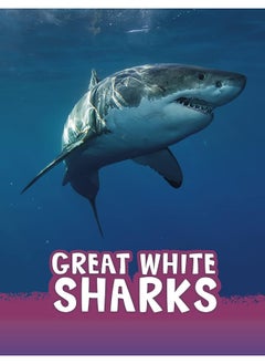 اشتري Great White Sharks في الامارات