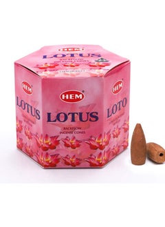 اشتري Hem Natural Lotus Backflow Incense Cones في الامارات