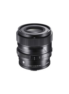 Buy Sigma 65mm f/2 DG DN Contemporary Lens for Sony E in UAE