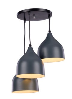 Buy Grey Modern ostrich ceiling lamp 3M10GR in Egypt