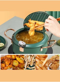 Buy 304 Stainless Steel Green Deep Fryer With Thermometer in Saudi Arabia