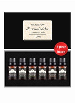 Buy 6-piece Boxed Vegetable Essential Oil 10ml in Saudi Arabia