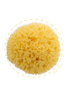 Buy Honeycomb Sea Sponge, Size-16, 1 Piece in UAE