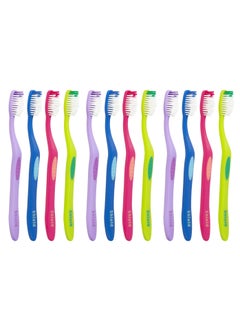 Buy Shield Care Righto Toothbrush Elongated Neck (Family Care - Medium Bristles), 4 Colors - 12 Count (Pack of 1) in UAE