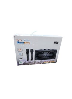 Buy Smart Berry M25 Karaoke Speaker Bluetooth Wireless Mic Black in UAE