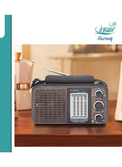 Buy DLC Multi-Purpose Portable Radio in Saudi Arabia