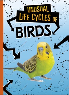 Buy Unusual Life Cycles of Birds in UAE