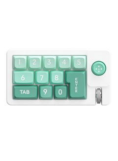 اشتري K810 Rocker Macro Definition RGB Hot Plug Macro Definition Wired Mechanical Game Keyboard emerald green في الامارات