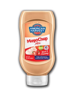 Buy Mayochup Top Down Squeezy Bottle, 315ml in UAE