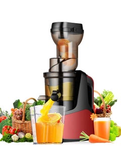 اشتري Slow juicer Juicer, slow juicer, cold press juicer easy to clean, juicer with high output, dried fruit pulp and opposite function في الامارات