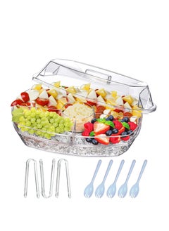 Buy Party Fruit Plate, Appetiser Serving Tray on Ice, Party Food Serving Tray, Clear, 15 in. in UAE