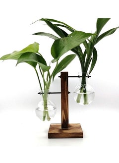 اشتري Vintage Hydroponic Terrarium Plant Vases: Elegant Glass Flower Pot with Wooden Frame for Tabletop Plants, Home Bonsai Decor (B - 2 Bulb Vase) في الامارات