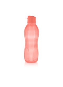 Buy Eco Water Bottle in Egypt