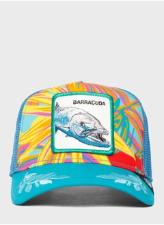 Buy Ooh Barracuda Curved Peak Caps in UAE