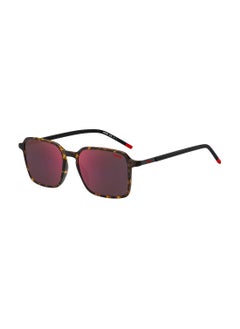 Buy Men's UV Protection Rectangular Sunglasses - Hg 1228/S Havn Brwn 53 - Lens Size: 53 Mm in UAE