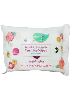 Buy Feminine Cleansing Wipes Removes Unwanted Odors Gentle Care -25 Wipes in Saudi Arabia