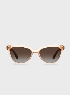 Buy Cayenne/S Sunglasses in UAE
