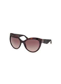 اشتري Women's UV Protection Butterfly Shape Sunglasses - GU0013052F61 - Lens Size: 61 Mm - Dark Havana في السعودية