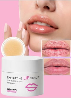 Buy Exfoliating Lip Scrub Exfoliant for Dry Dark Lips to Lighten Lip Exfoliant Peel Scrub for Lightening and Brightening dark Lips for Men Women Sugar Repair Restoration Smooth Lip 15ml in UAE