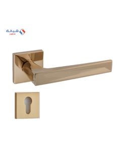 Buy Rosette Dognlar Turkish Verita Bathroom Door Handle Set – Gold in Egypt