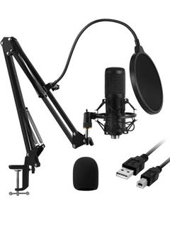 Buy PC Microphone,USB Condenser Microphone,Professional 192KHZ/24Bit Studio Cardioid Condenser Mic Kit in Saudi Arabia