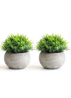 Buy Mini Artificial Plants Set, 2 Pcs Small Fake Plants for Office Kitchen Bathroom Bedroom Mantle Shelf Living Room, Faux Plants in Pots Modern Farmhouse Plants Home Decor in Saudi Arabia