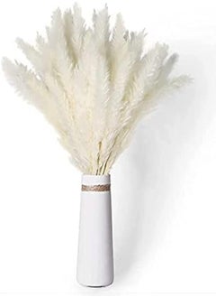 Buy 30 Pcs Faux Pampas Grass Large, Artificial Pampas Grass Decor Tall, Floor Vase Filler, Dried Flowers For Flower Arrangements Wedding Home Party Decor | White in UAE