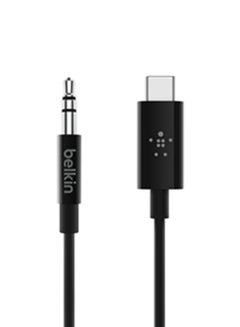 Buy RockStar USB-C to 3.5mm Aux Cable | 6-Ft Long Audio Cable, PVC Jacket with Aluminum Heads, Heavy Duty, for iPhone 15, Samsung Galaxy S23, Z Fold, iPad, MacBook, Pixel, more - Black in UAE