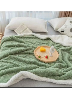 Buy COMFY SOFT & FLUFFY 200 X 230 CM SHEEP BLANKET 5 in UAE