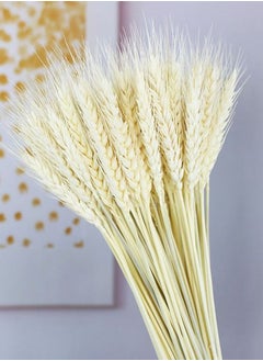 Buy 100 Pieces Dried Natural Wheat Sheave Bundle Premium Bouquet Decor | Long-Lasting Dried Flowers Bouquet for Boho Home Decor and Boho Wedding Decor (The Designer Bouquet) in UAE