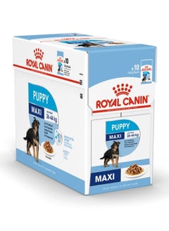 اشتري Size Health Nutrition Maxi Puppy (WET FOOD - Pouches) في الامارات