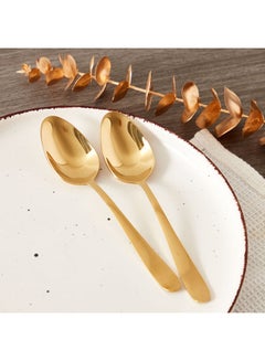 Buy Columbus 2-Piece Dinner Spoon Set 0.2 cm in UAE