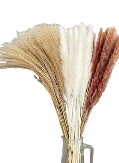 Buy 60-Piece Natural Dried Pampas Reed Grass  Set for Flower Arrangements Home Decor in UAE