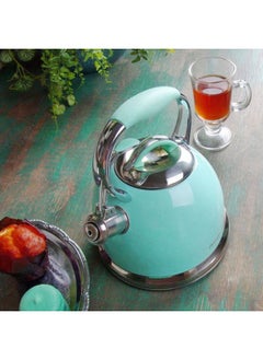 Buy Fissman Whistling Kettle - Felicity Series - Stainless Steel - Aquamarine - 2.6 L in UAE