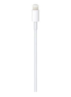 Buy White USB Charging and data Transfer Cable from Type-C to Lightning in Saudi Arabia