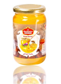 Buy Citrus Blossom Bee Honey 950g in Egypt