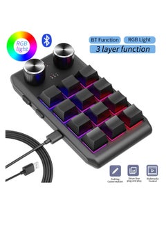 Buy Programming Macro Custom 2 Knob Bluetooth Keyboard RGB 12 Key Copy Paste Mini Button Gaming Keypad Mechanical Hotswap Macropad in Saudi Arabia