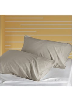 Buy Microfiber Pillowcases 2-Pcs Soft Pillow Cover With Envelope Closure (Without Pillow Insert),Light Grey in Saudi Arabia