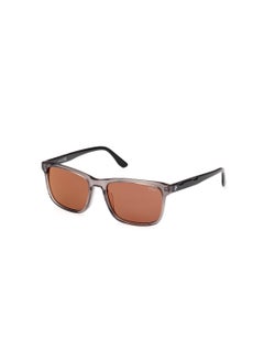 Buy Men's Navigator Shape Acetate Sunglasses BW0053-H20J55 Lens Size: 55 Millimeter - Shiny Grey in UAE