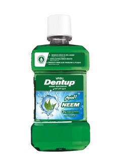 Buy Dentup Herbal Mouthwash 250 Ml in Saudi Arabia