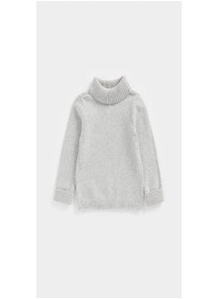 Buy Grey Roll Neck Knitted Jumper in Saudi Arabia