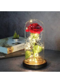 Buy Beauty And The Beast Rose In LED Glass Dome in UAE