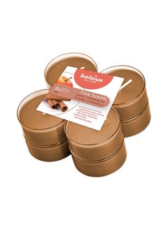 Buy Pack of 8 True Scented Apple Cinnamon Maxi Light Candles With Cups in UAE