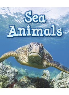 Buy Sea Animals in Saudi Arabia