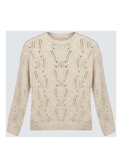 اشتري Crew-Neck Openwork Sweater في مصر