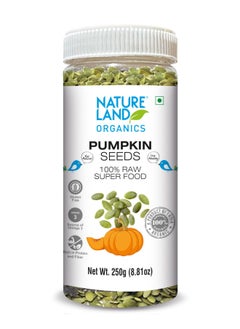 Buy Pumpkin seeds 250gm in UAE