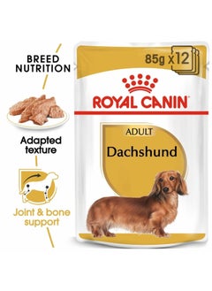 Buy Breed Health Nutrition Dachshund Adult Wet Food 12x85g in UAE